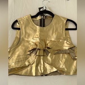 Zara cute raffle gold crap top.
